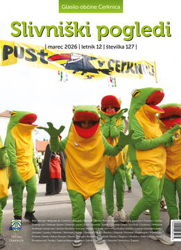 Slivniski pogledi_127 naslovnica