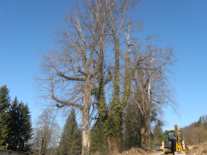 UREDITEV PARKIRIŠČA NAD BALINIŠČEM V CERKNICI, 2012