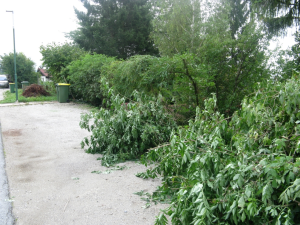 ČIŠČENJE BREŽINE OB CESTI PEŠČENK V CERKNICI