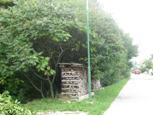 ČIŠČENJE BREŽINE OB CESTI PEŠČENK V CERKNICI