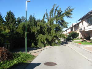 ČIŠČENJE BREŽINE OB CESTI PEŠČENK V CERKNICI