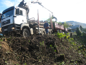ČIŠČENJE BREŽINE OB CESTI PEŠČENK V CERKNICI