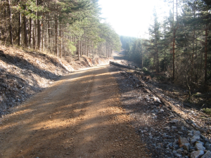  IZDELAVA PROTIPOŽARNEGA PASU - POTI NAD PEŠČENKOM V CERKNICI