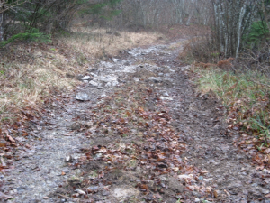 UREDITEV POLJSKIH POTI KAMNA GORICA
