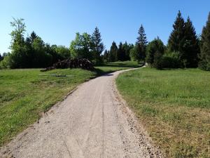 Rekonstrukcija poti Gorenje Otave (F: Boštjan Otoničar) 