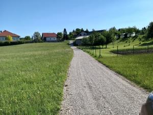 Rekonstrukcija poti Gorenje Otave (F: Boštjan Otoničar) 