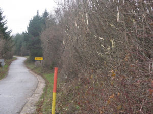 obsekavanje - 20.11.2012 Vir: Občina Cerknica