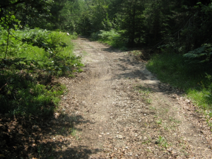 Ureditev poljske poti Gorenje Otave-Kranjče - Vir: Občina Cerknica Datum: 05.08.2013