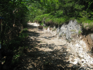 Ureditev poljske poti Gorenje Otave-Kranjče - Vir: Občina Cerknica Datum: 05.08.2013